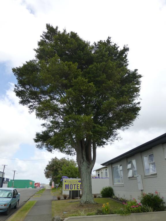 Totara Lodge Motel Левин Экстерьер фото